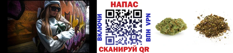 Марихуана сатива  Купить где  Майкоп 